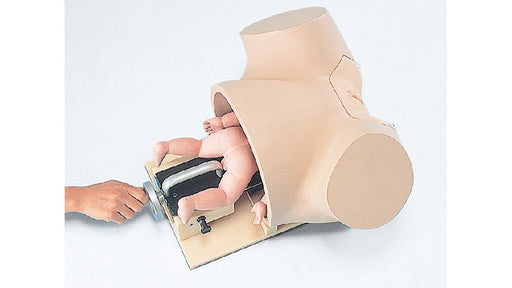Image 2 - FETAL HEAD EXTRACTOR FOR OBSTETRIC MODEL