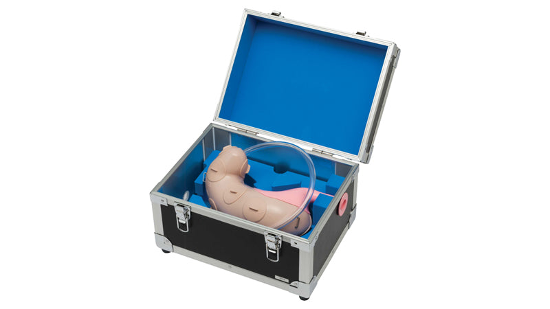 ESD (Endoscopic Submucosal Dissection) Training Model