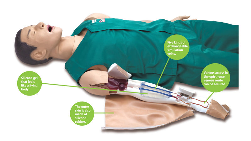 Training Model for Securing Venous Tract