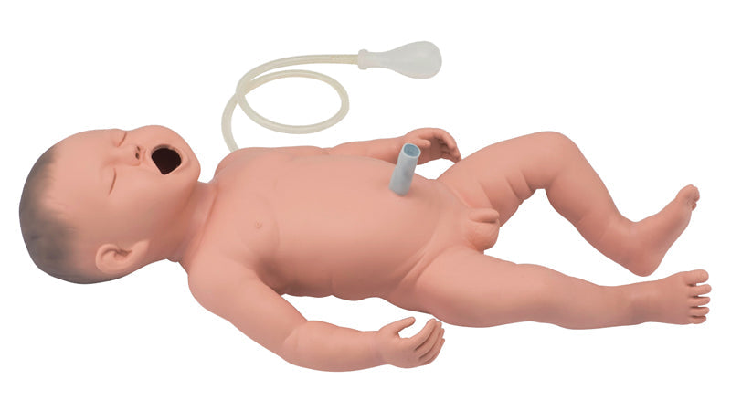 Neonatal Resuscitation Model