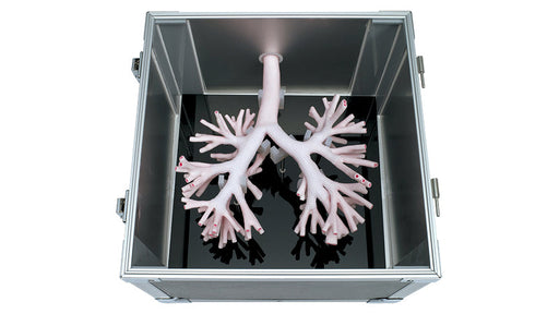 Image 2 - BRONCHOSCOPY TRAINING MODEL