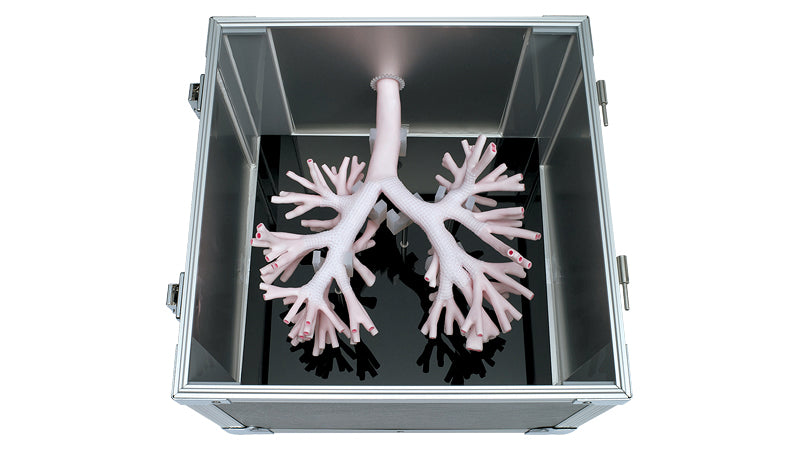 Image 2 - BRONCHOSCOPY TRAINING MODEL