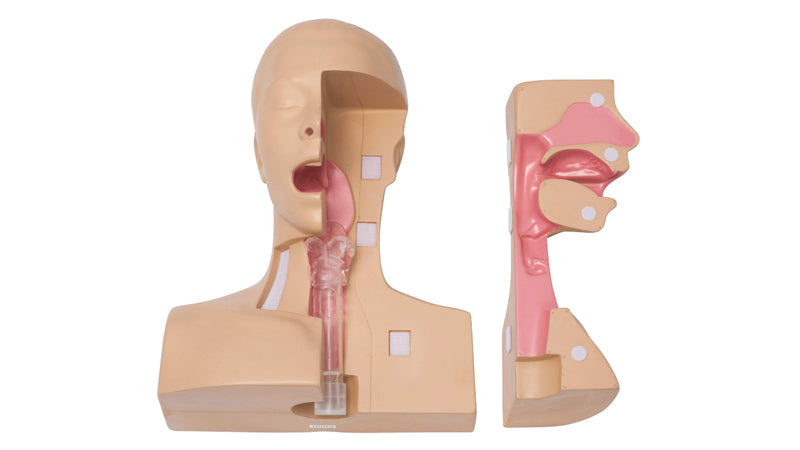 KOKEN Tracheostomy Management Simulator