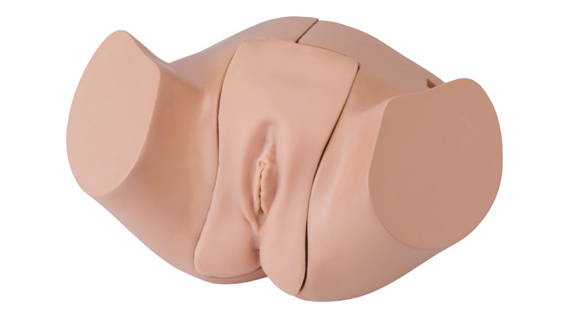 Female Catheterization and Enema Simulator