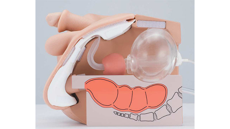 Image 2 - MALE CATHETERIZATION AND ENEMA SIMULATOR