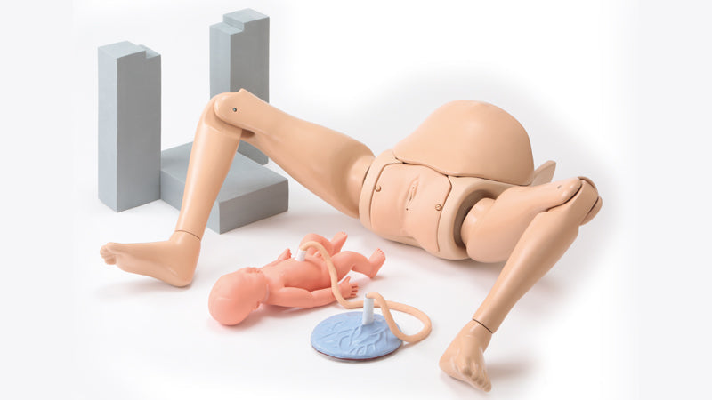 Obstetric Assistant Model Set type Ⅱ, Hiroko